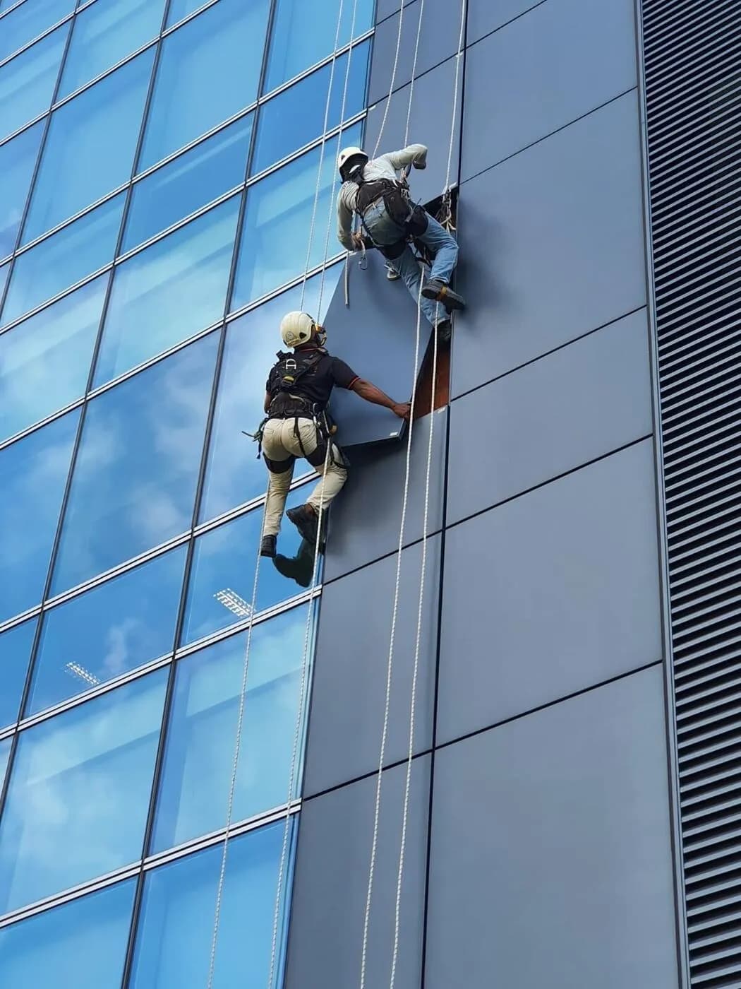Rope Access & High-Rise Works