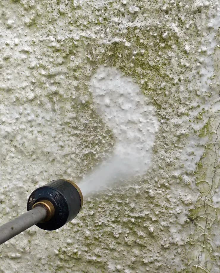 Anti-Fungus & Algae Wash